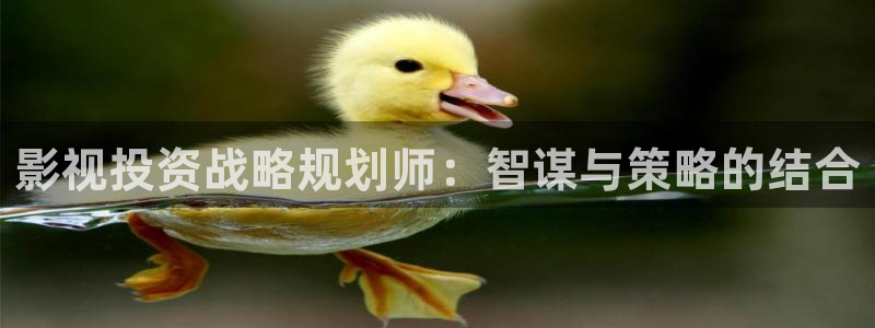 天龙影院远官网：影视投资战略规划师：智谋与策略的结合