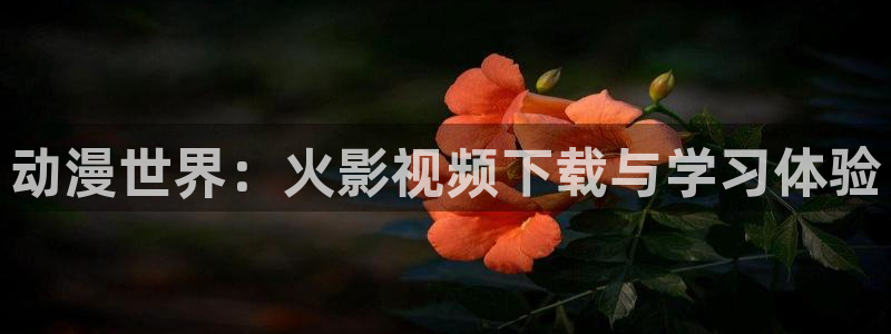 天龙影院免费：动漫世界：火影视频下载与学习体验