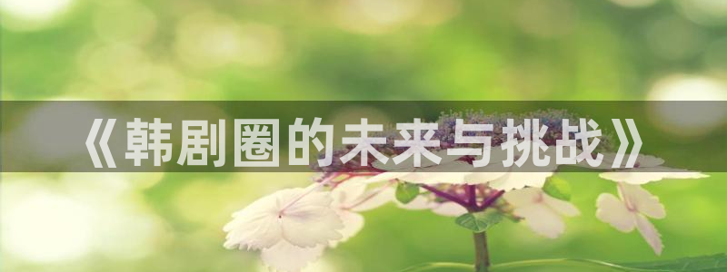 天龙影院高清远古：《韩剧圈的未来与挑战》