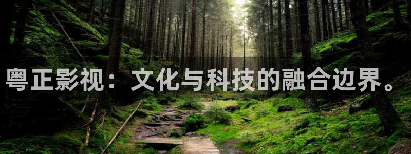 天龙影院2026：粤正影视：文化与科技的融合边界。