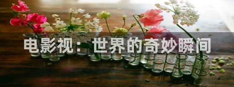 天龙影院苹果：电影视：世界的奇妙瞬间