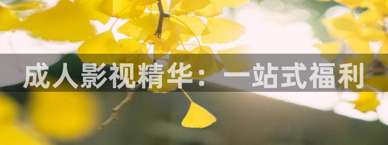 天龙影音：成人影视精华：一站式福利