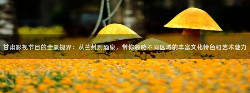 天龙影院电影：甘肃影视节目的全景视界：从兰州到酒泉，带你领略不同区域的丰富文化特色和艺术魅力
