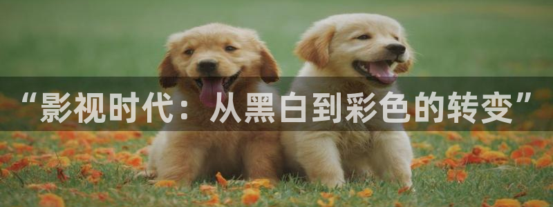 天龙影院远古
